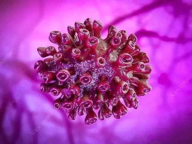 ػů¹ڲΕrʧҵf