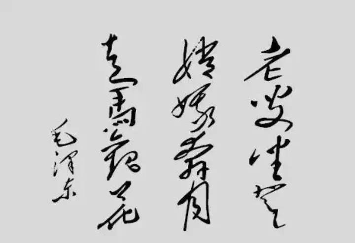 微信圖片_20210302233547.jpg